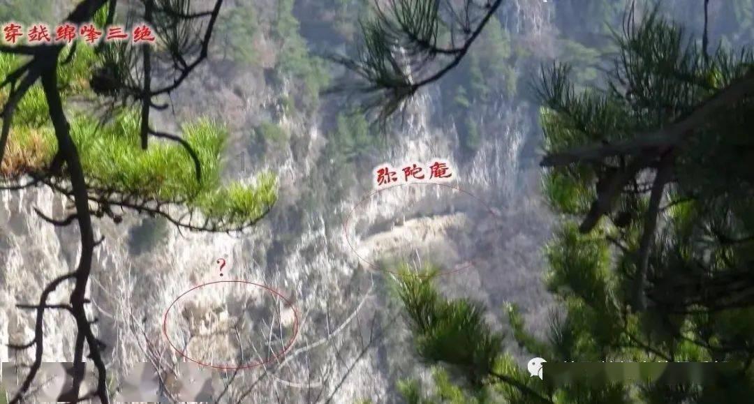 探索跟父母一起出来打工过年了想回家父母不让怎么办在线求知识星球,学习与分享,你的贴身导师
